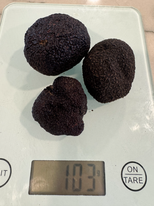 Fresh Truffle - Golden Table Pack
